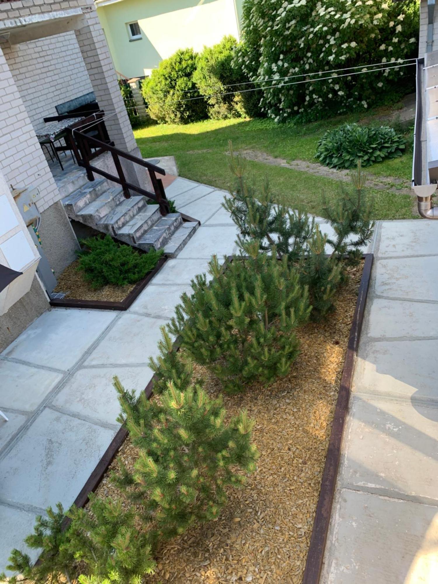 Guesthouse Sveciuose Pas Grazina Palanga Dış mekan fotoğraf